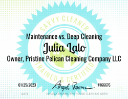 Julia Lalo Maintenance vs. Deep Cleaning Savvy Cleaner Training