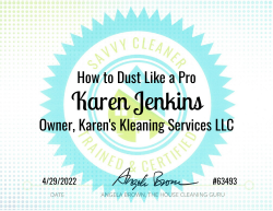 Karen Jenkins Dust Like a Pro Savvy Cleaner Training