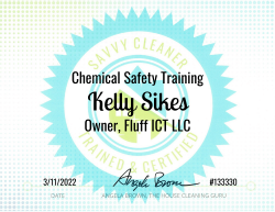 Kelly SIkes Chemical Safety Training Savvy Cleaner Training