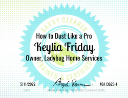 Keylia Friday Dust Like a Pro Savvy Cleaner Training