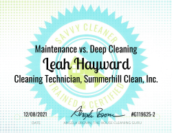 Leah Hayward Maintenance vs. Deep Cleaning Savvy Cleaner Training