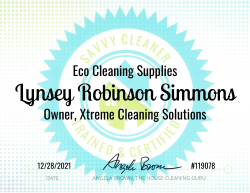 Lynsey Robinson Simmons Eco Cleaning Supplies Savvy Cleaner Training 1000x772
