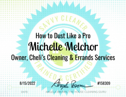 Michelle Melchor Dust Like a Pro Savvy Cleaner Training