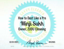 Minji Sukh Dust Like a Pro Savvy Cleaner Training