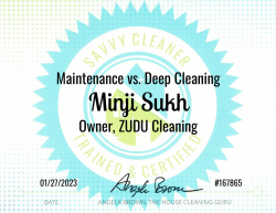 Minji Sukh Maintenance vs. Deep Cleaning Savvy Cleaner Training