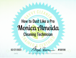 Monica Almeida Dust Like a Pro Savvy Cleaner Training