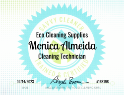 Monica Almeida Eco Cleaning Supplies Savvy Cleaner Training