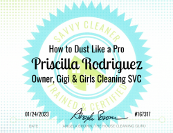 Priscilla Rodriguez Dust Like a Pro Savvy Cleaner Training