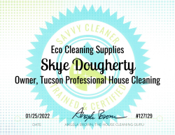 Skye Dougherty Eco Cleaning Supplies Savvy Cleaner Training 1000x772
