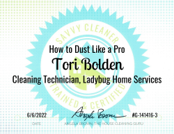 Tori Bolden Dust Like a Pro Savvy Cleaner Training
