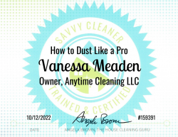 Vanessa Meaden Dust Like a Pro Savvy Cleaner Training