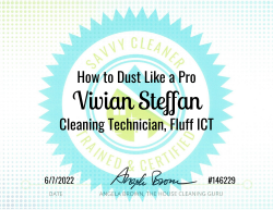 Vivian Steffan Dust Like a Pro Savvy Cleaner Training