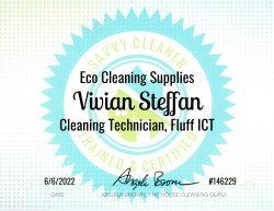 Vivian Steffan Eco Cleaning Supplies Savvy Cleaner Training
