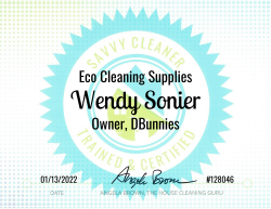 Wendy Sonier Eco Cleaning Supplies Savvy Cleaner Training 1000x772